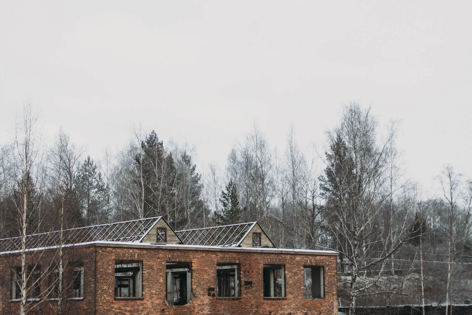 Sweden_munkfors_Evabloem-09.jpg