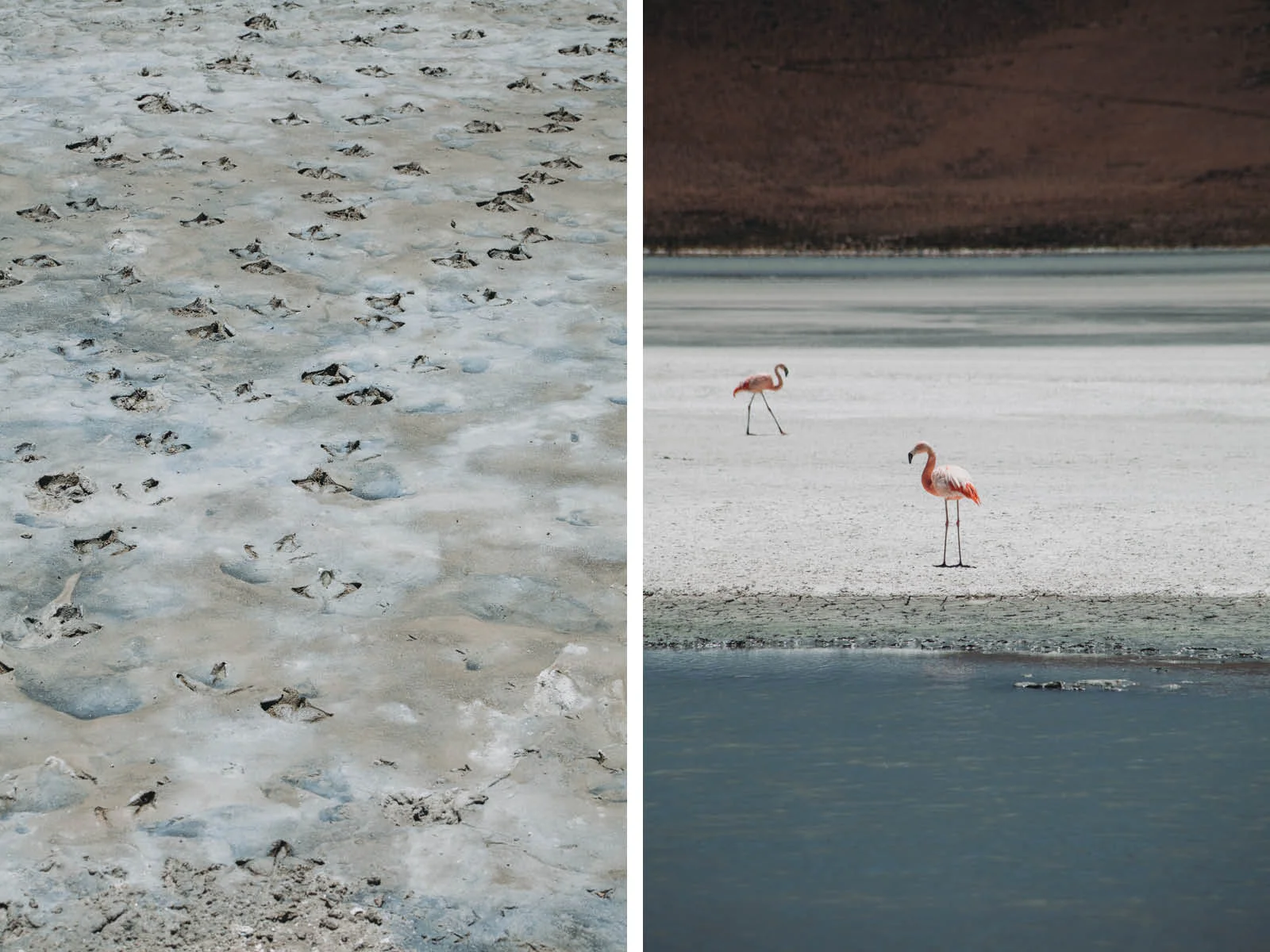 Evabloem-Salar-de-Uyuni_Bolivia-0104-2.jpg
