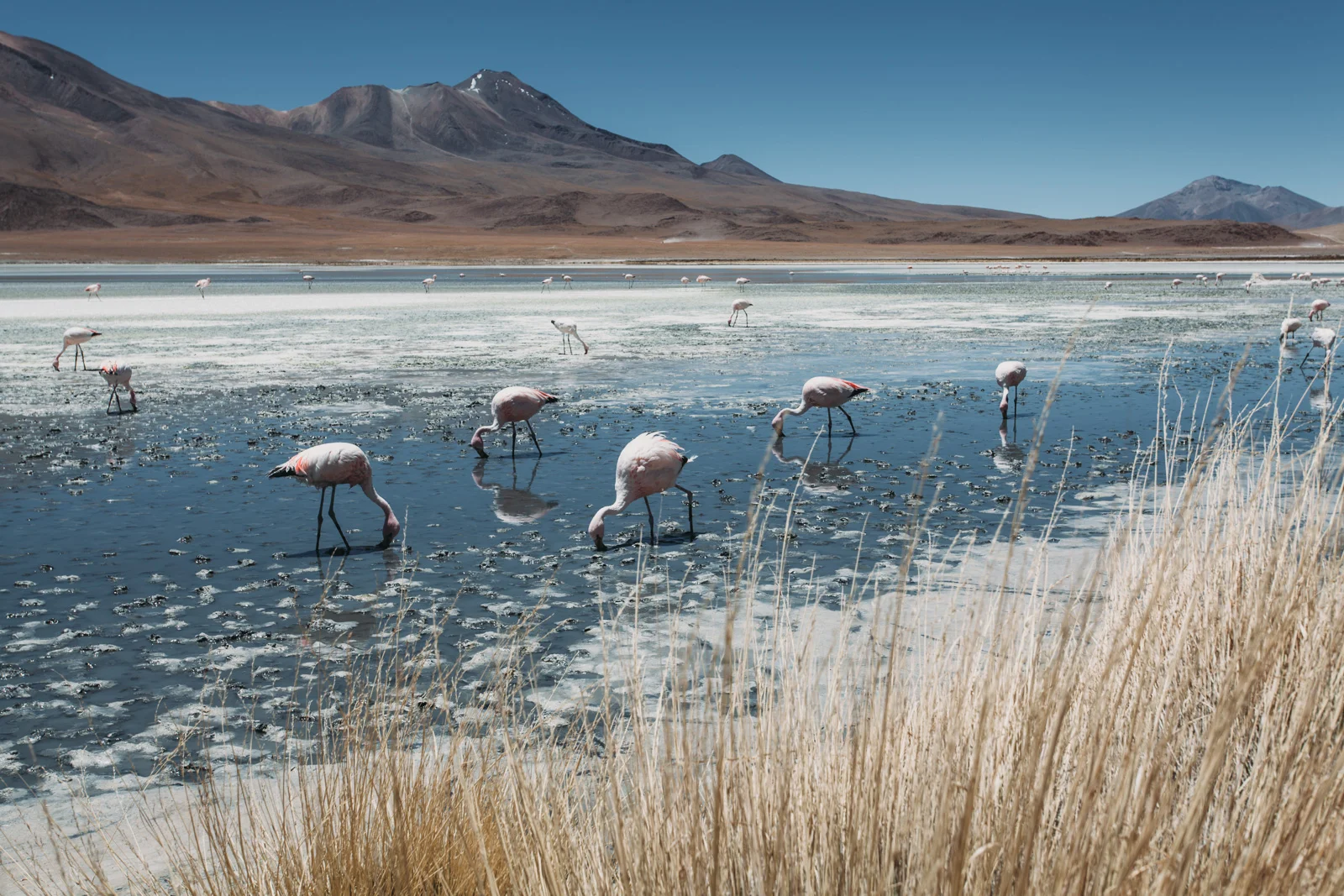 Evabloem-Salar-de-Uyuni_Bolivia-0122.jpg