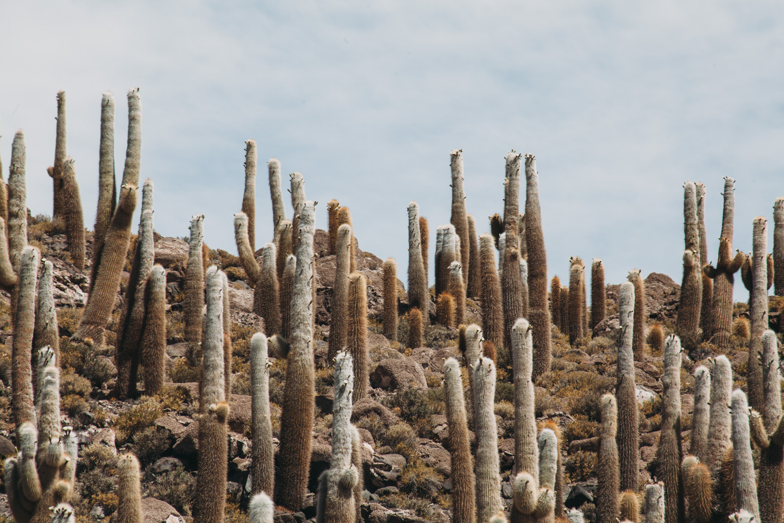 Evabloem-Salar-de-Uyuni_Bolivia-0036.jpg