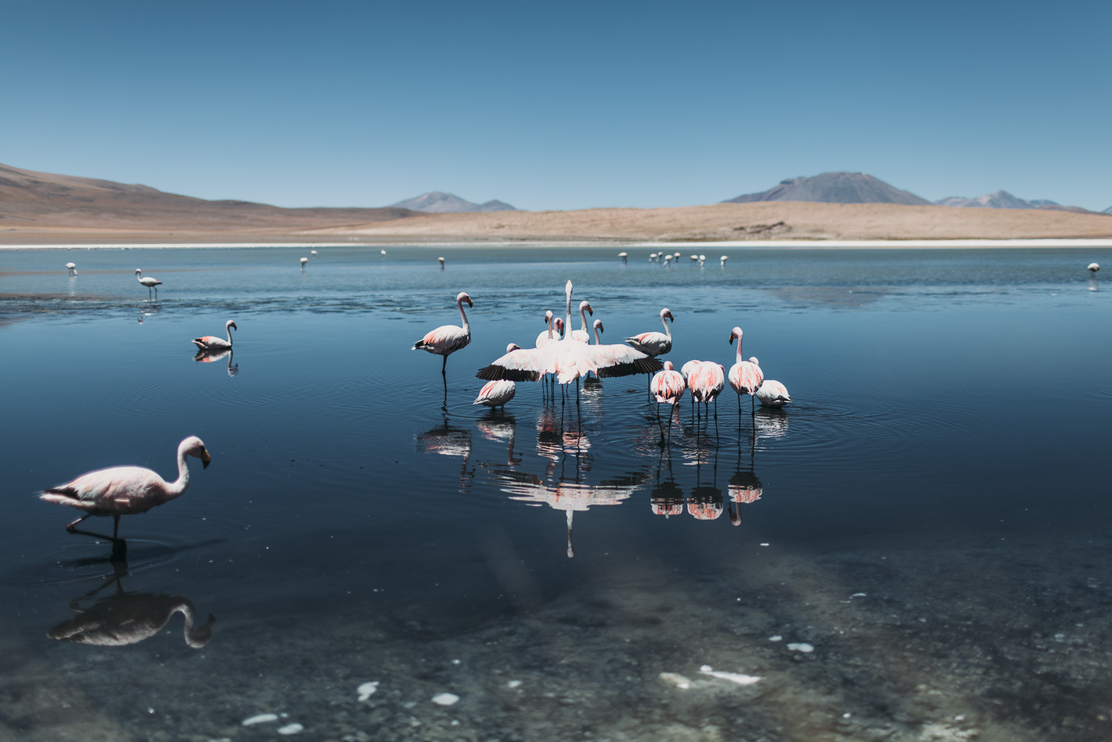 Evabloem-Salar-de-Uyuni_Bolivia-0092.jpg