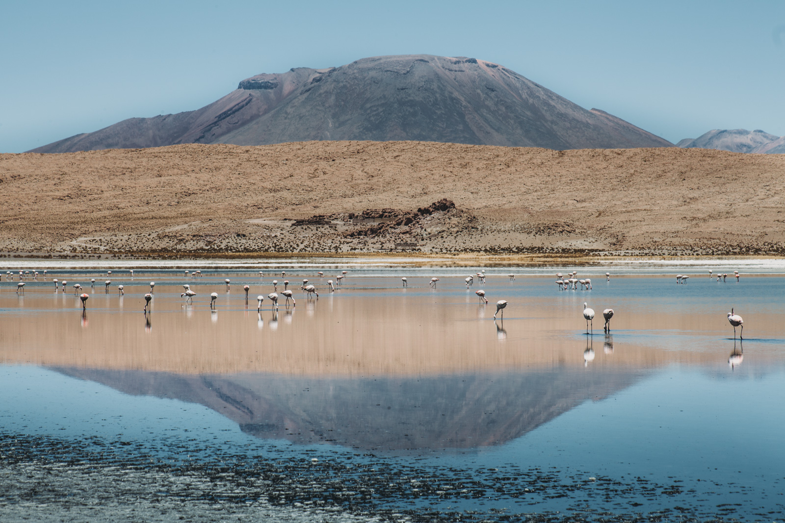 Evabloem-Salar-de-Uyuni_Bolivia-0102.jpg