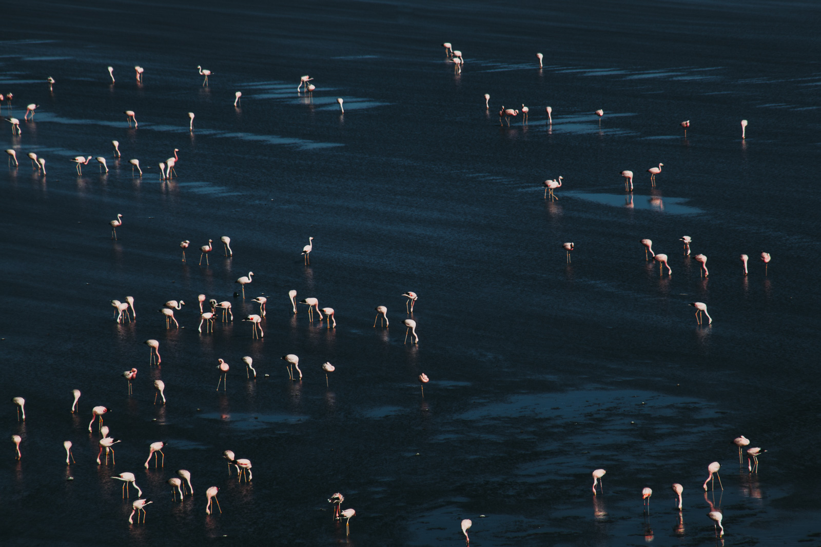 Evabloem-Salar-de-Uyuni_Bolivia-0156.jpg