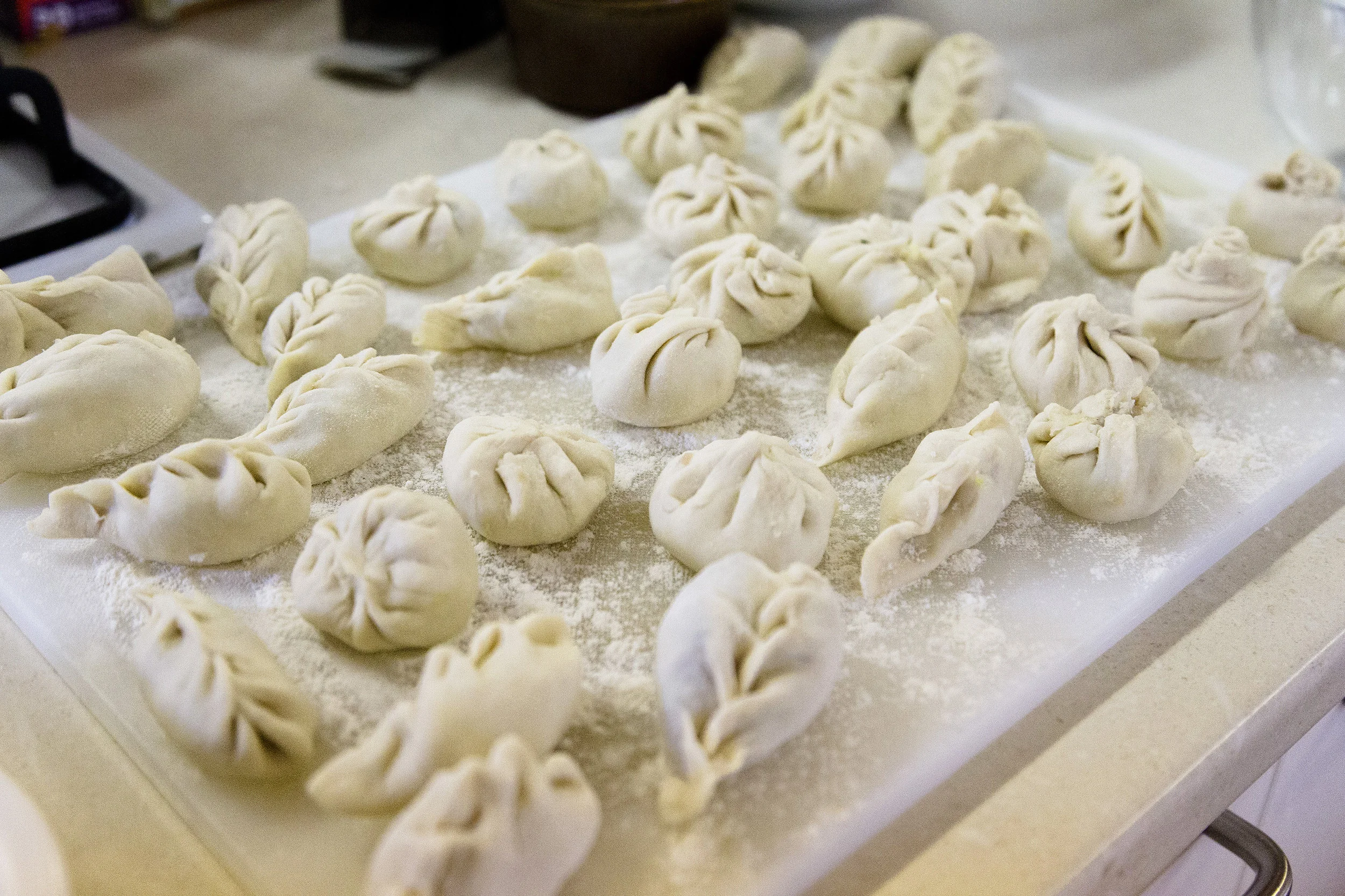 Tashi's Tibetan Momos — PlantingSeeds