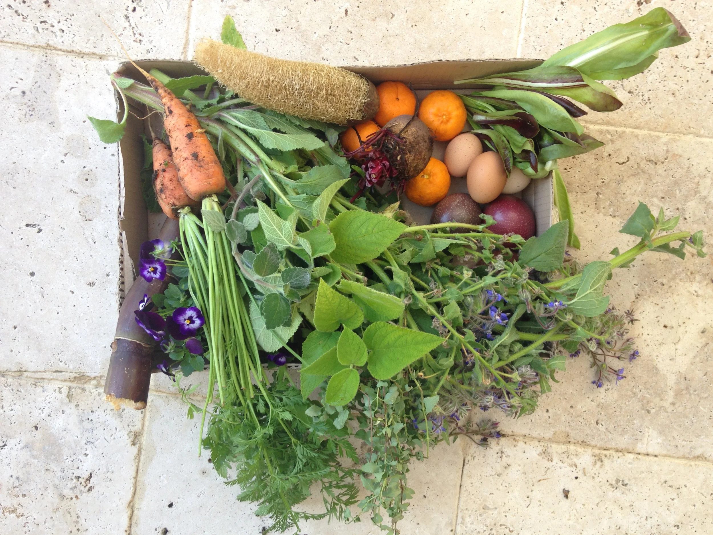 vegie and eggs bouquet.jpg