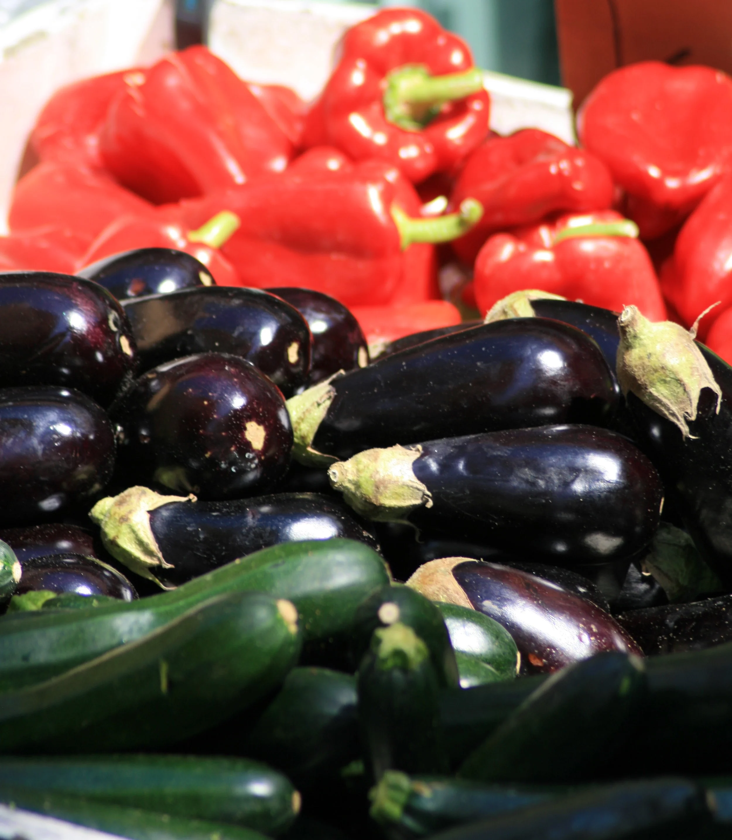 ratatouille ingredients.jpeg