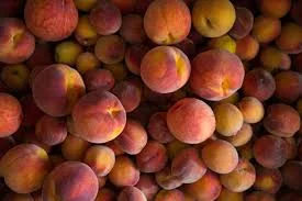 peach collection.jpeg