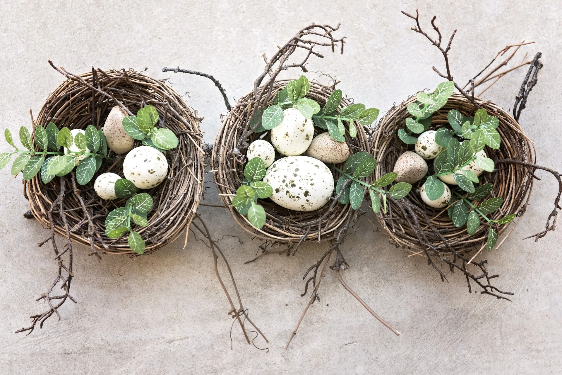 egg-nature.jpg