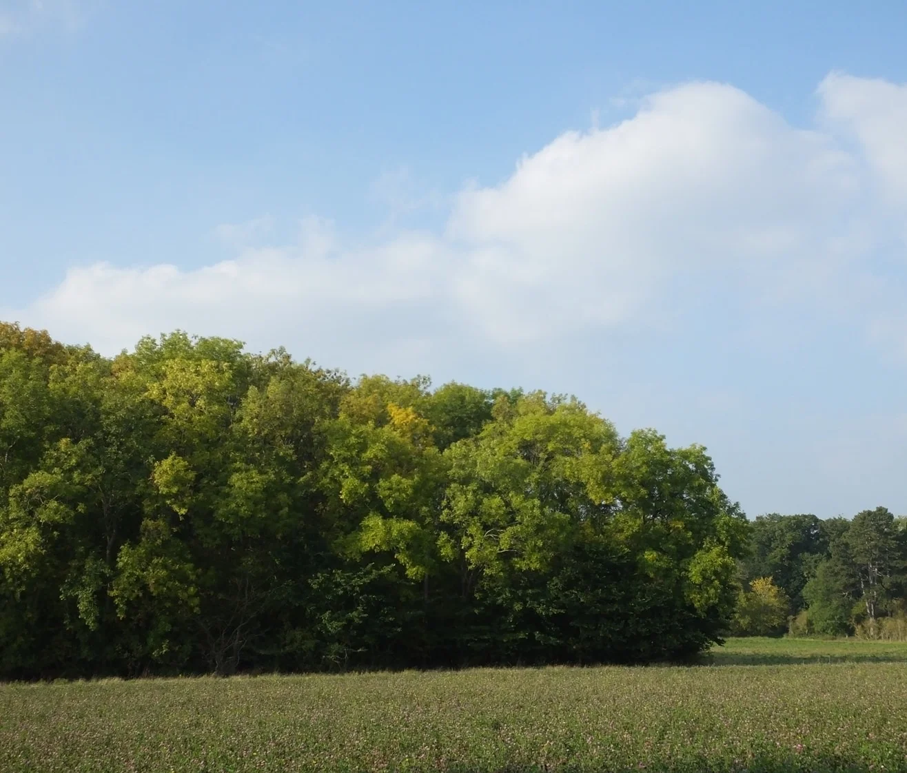 ParkView_1500.JPG