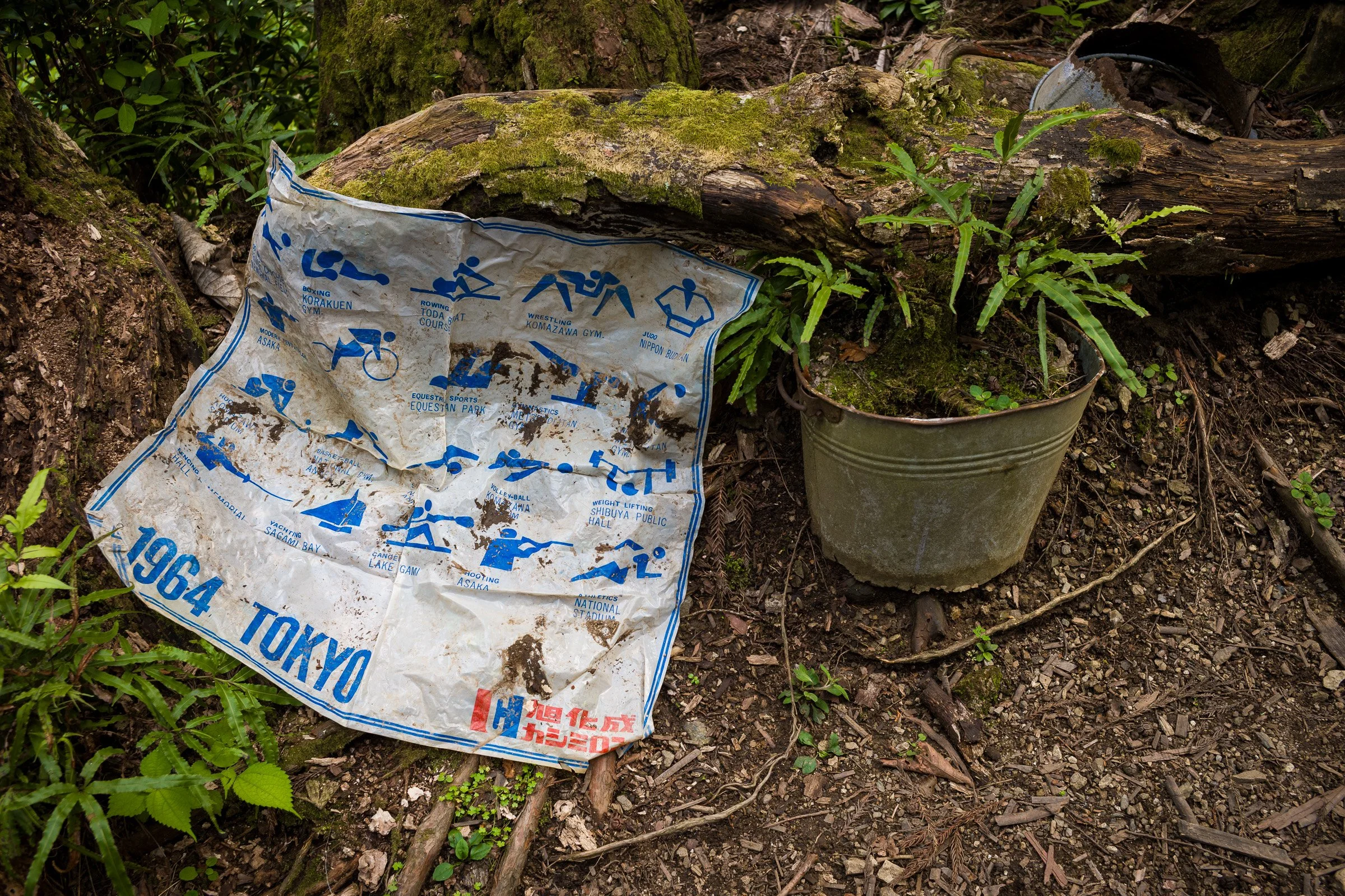 the-abandoned-portfolio3.jpg