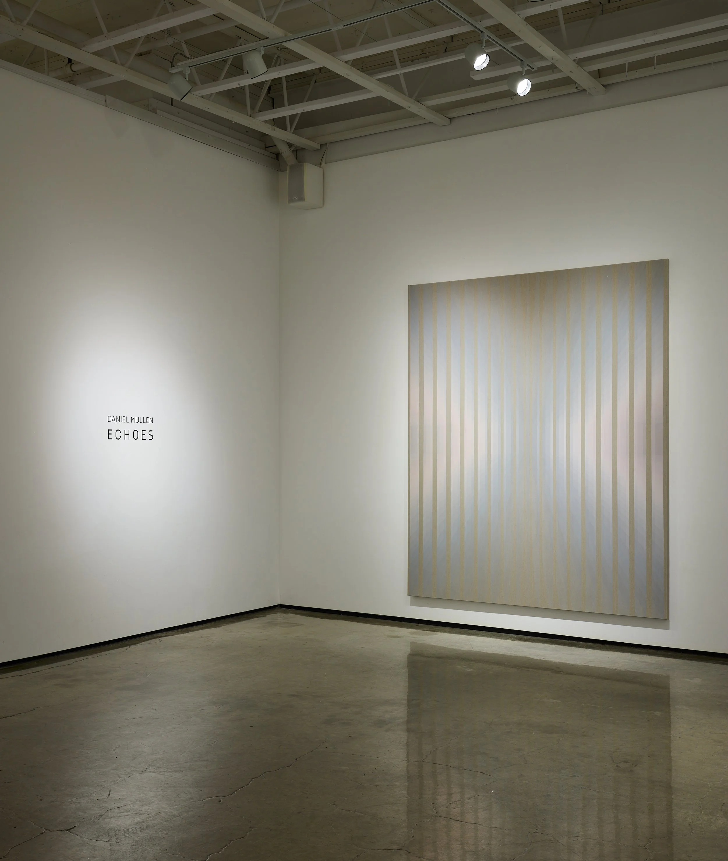 260400_Mullen-Daniel_ECHOES_Install-003_3000px.jpg
