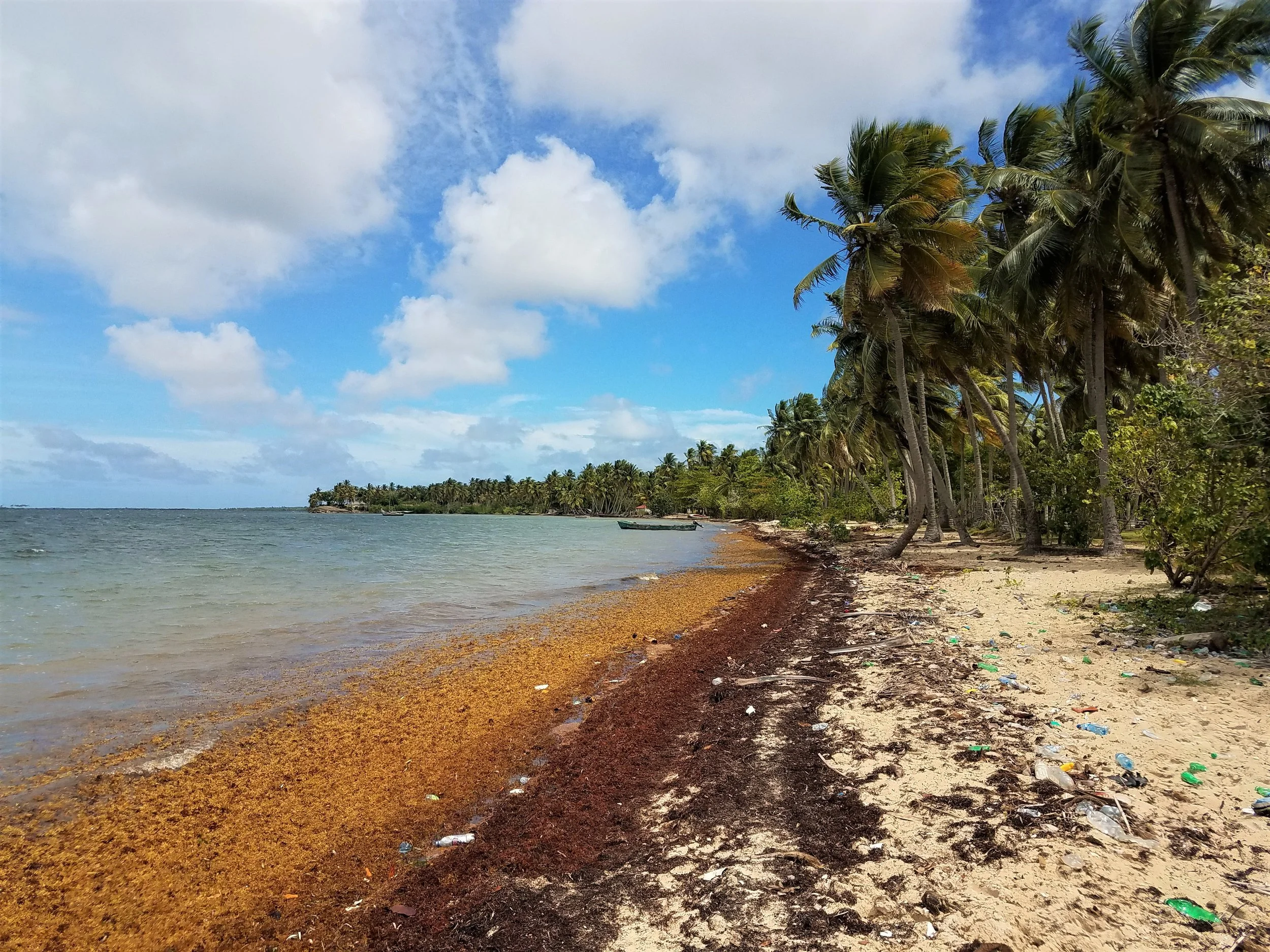 If you’re going to do a mobile medical clinic, what better place than this?!