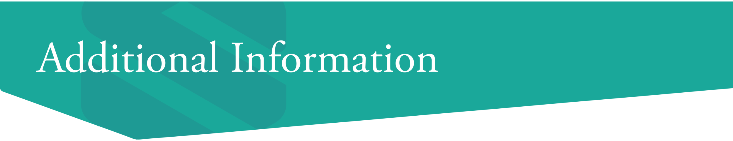SLCOG Web Header_Additional Information-01.png