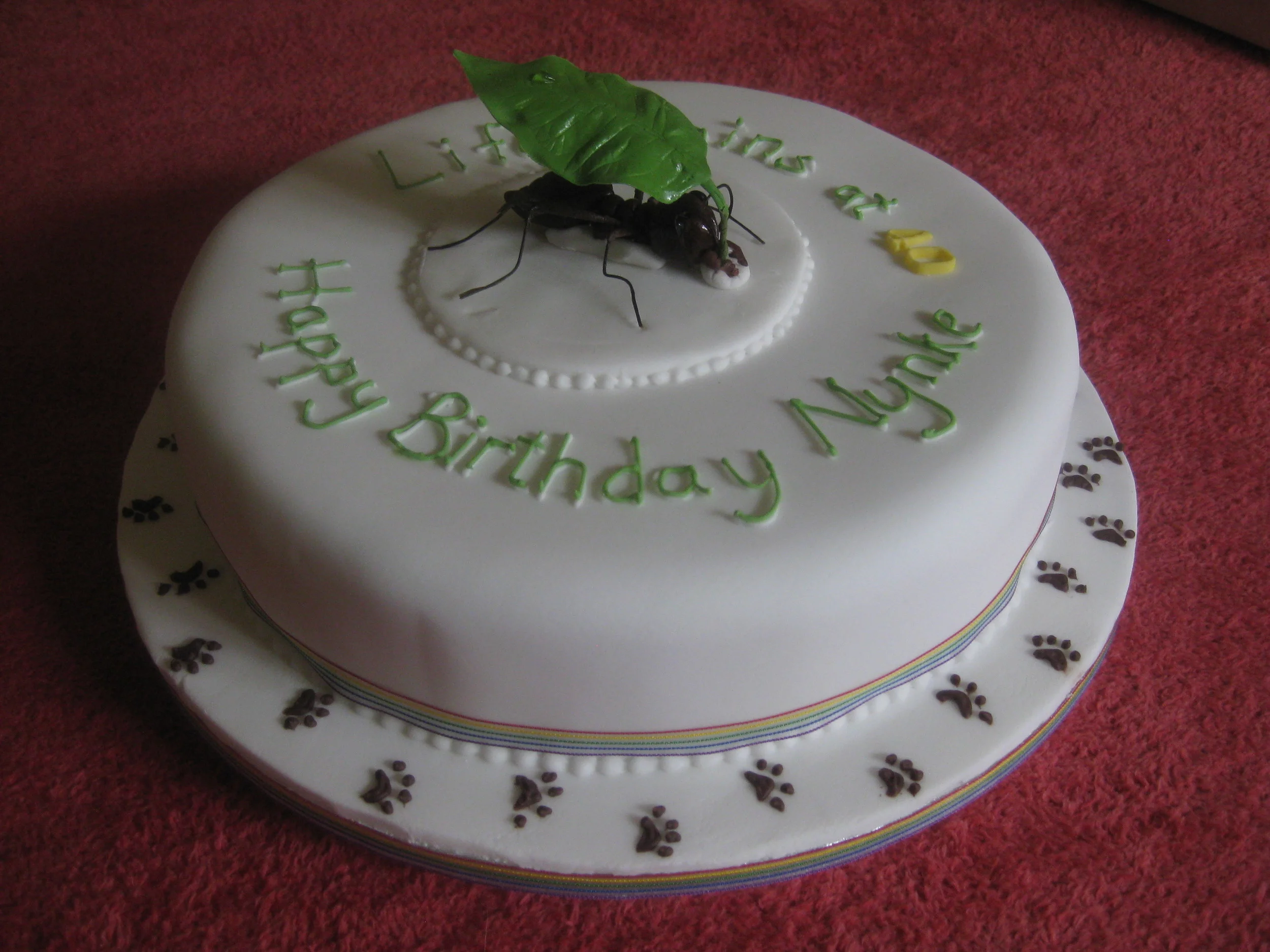 leaf cutter ant, sponge.jpg