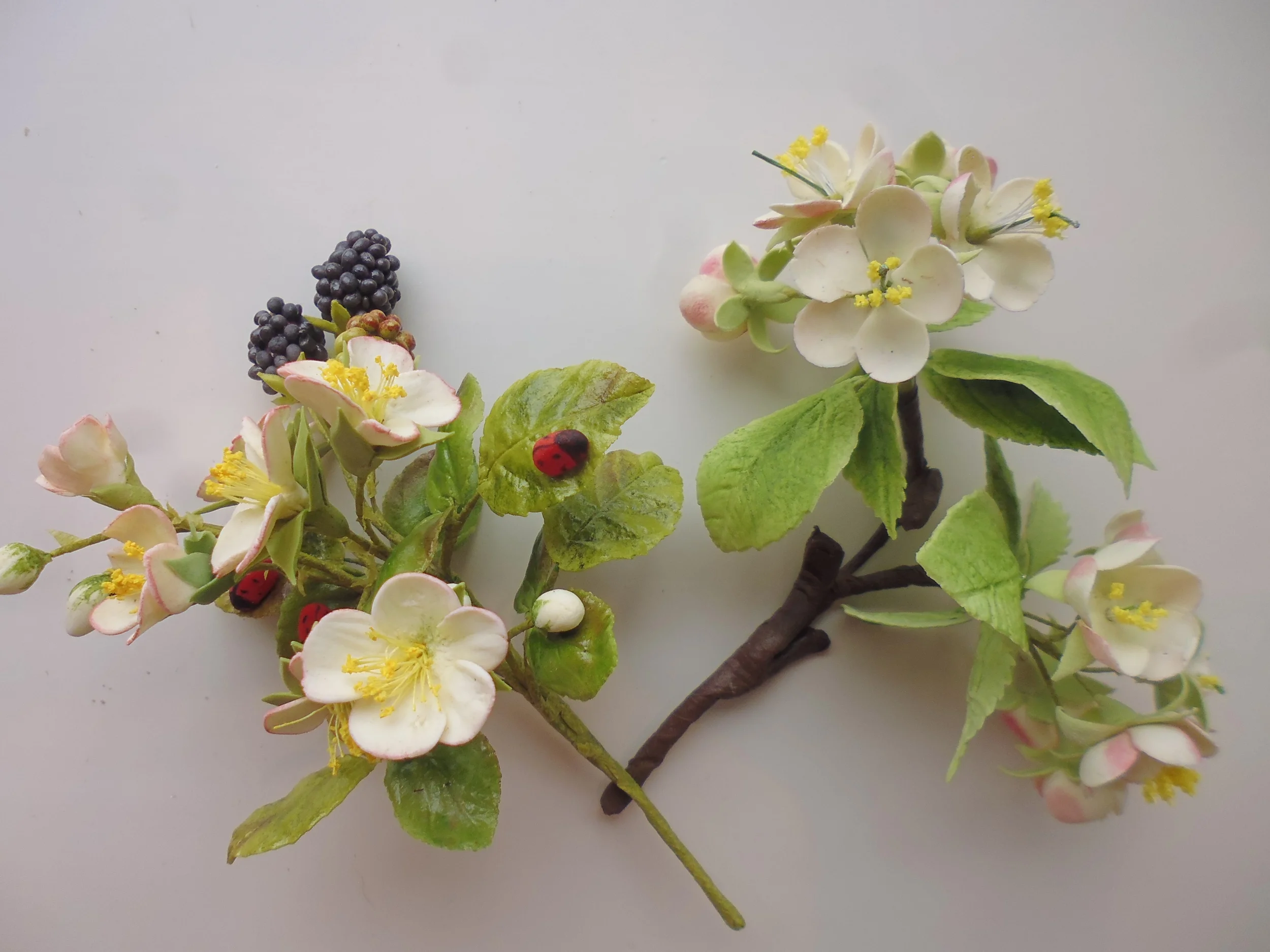 blackberries & apple blossom.JPG