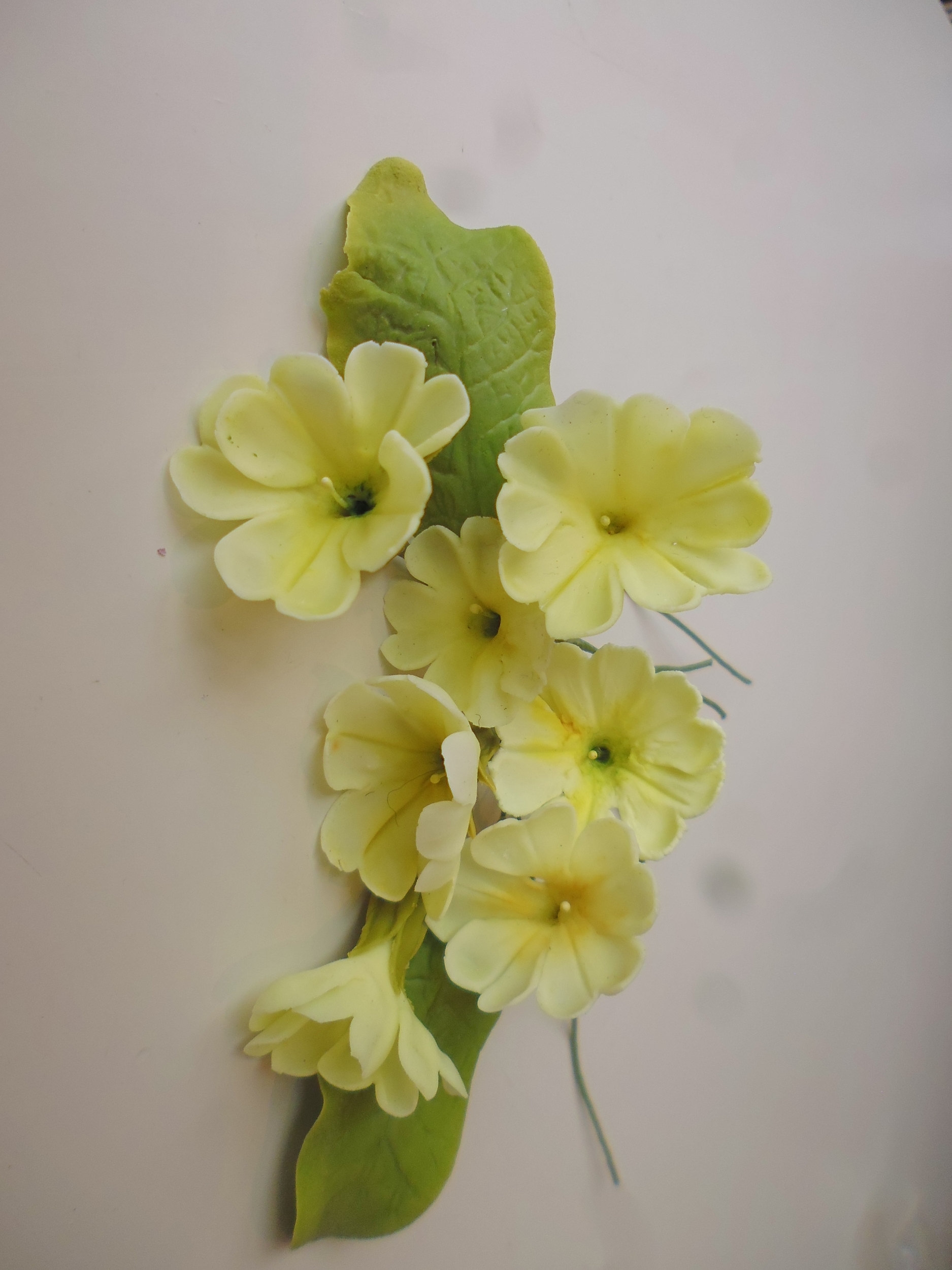 primroses.JPG