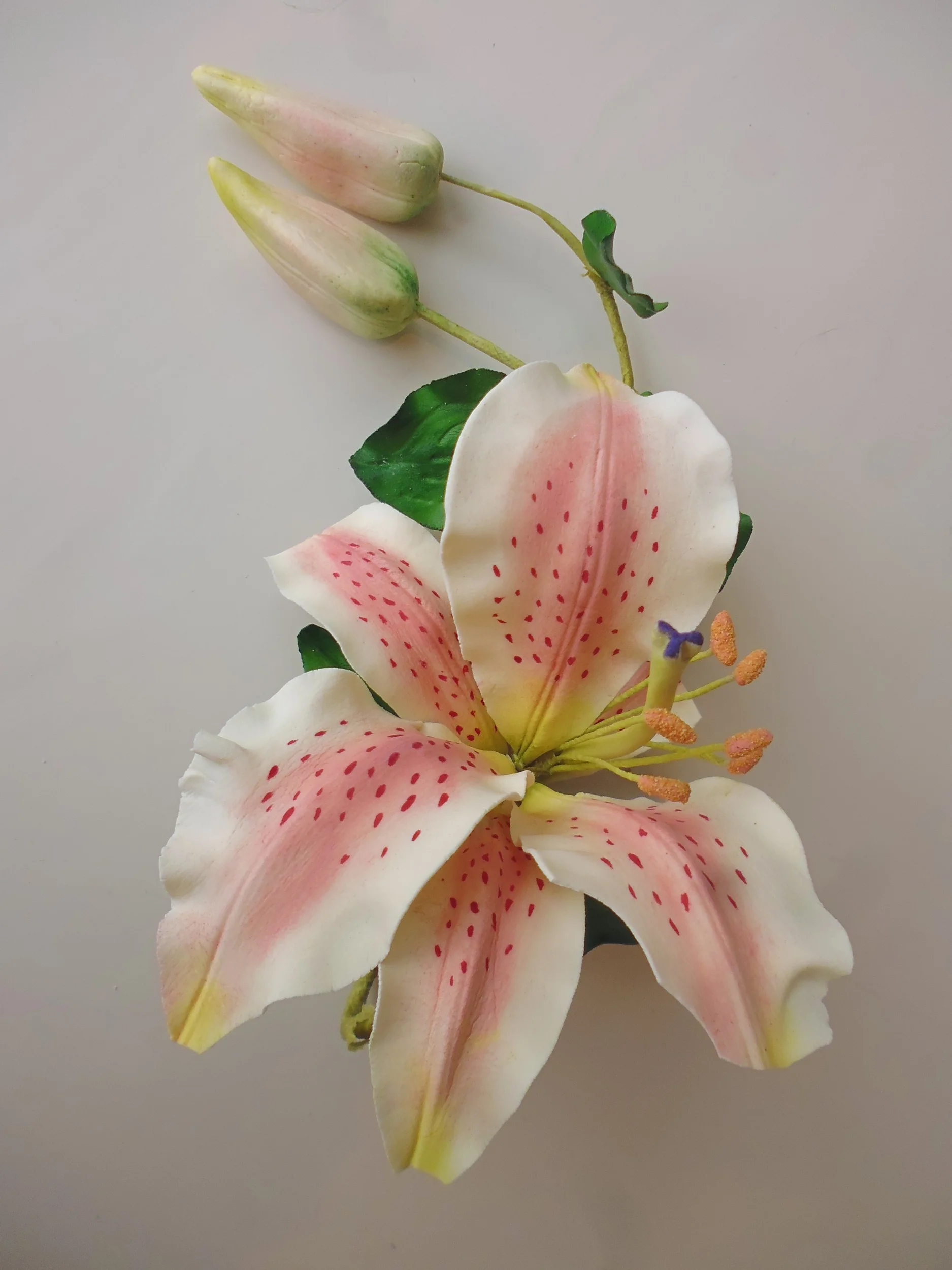 stargazer lily.JPG