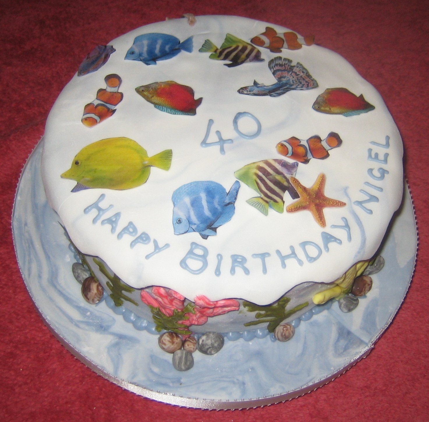 tropical fish, sponge.jpg