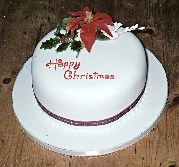 poinsetta & holly, fruit.jpg