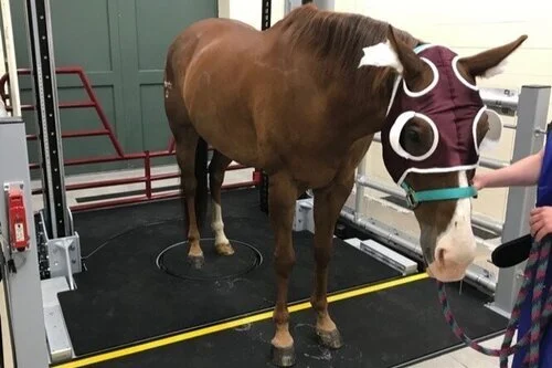 Learn About Patient Prep and Registration