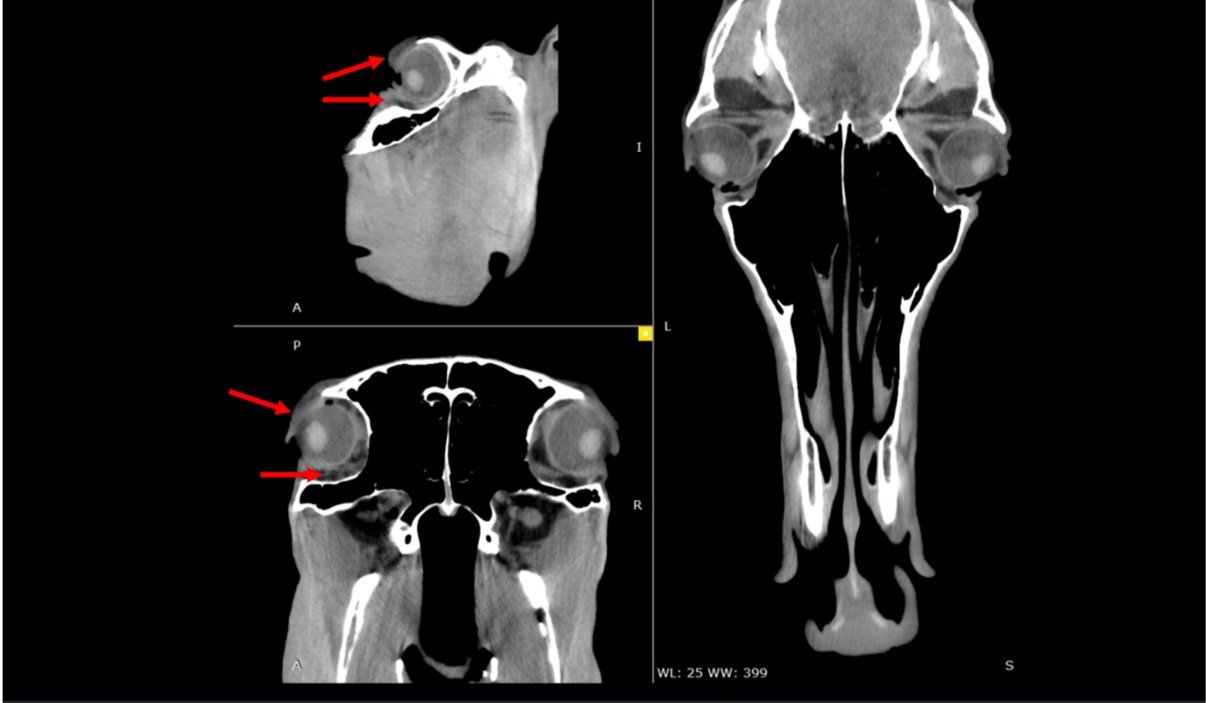 Learn How to Configure Retro Reconstructions