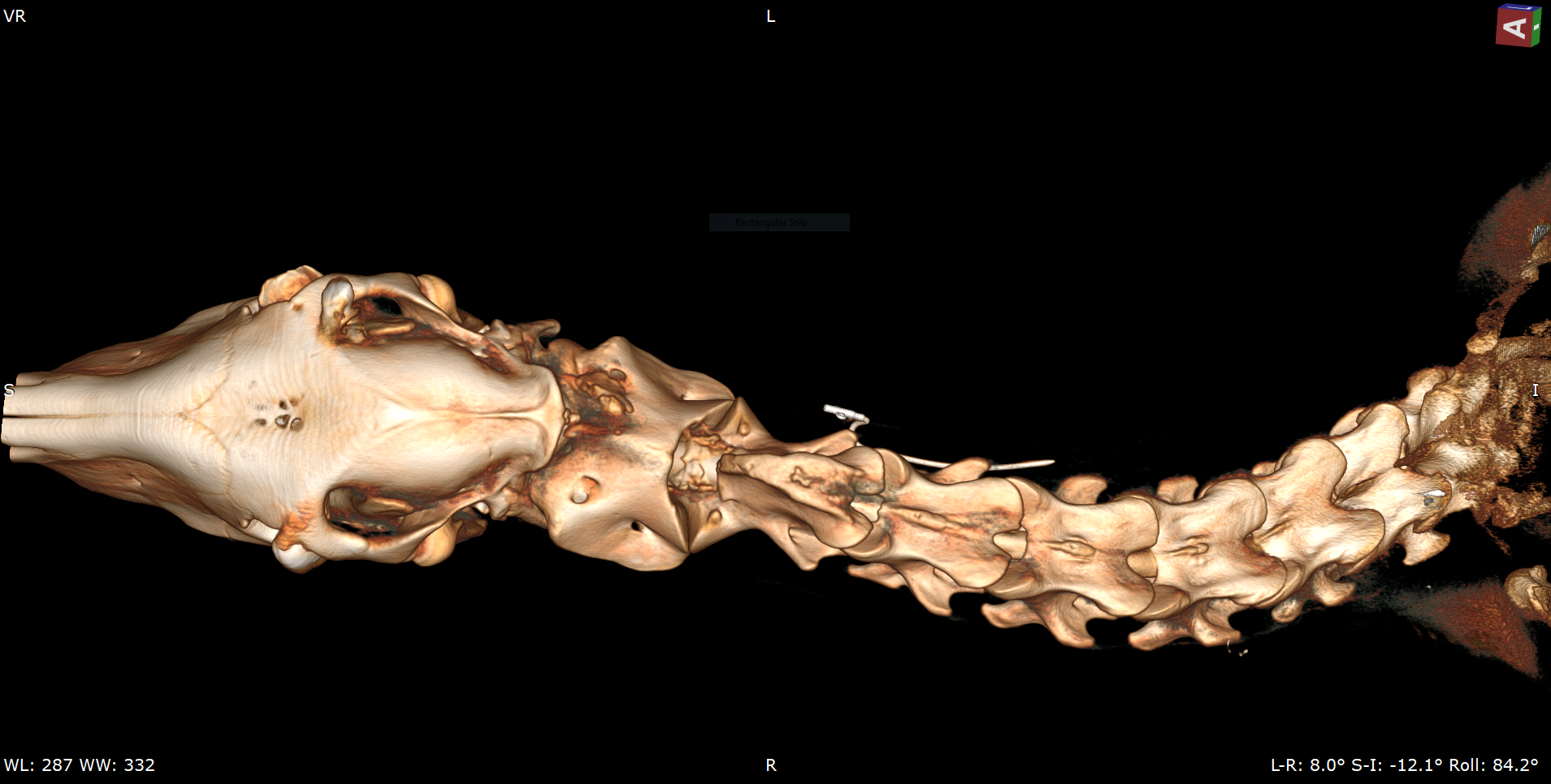 Equine Standing CT: Diagnosing the 6 Most Common Head and Neck Injuries