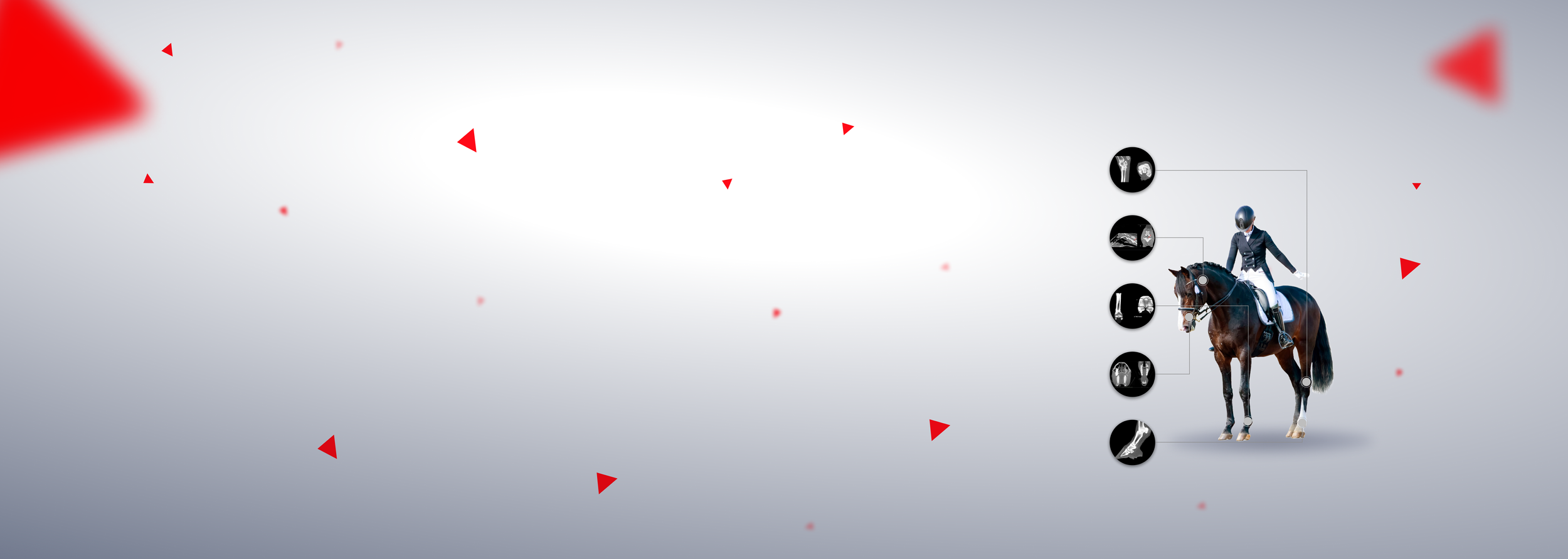 banner 3.png