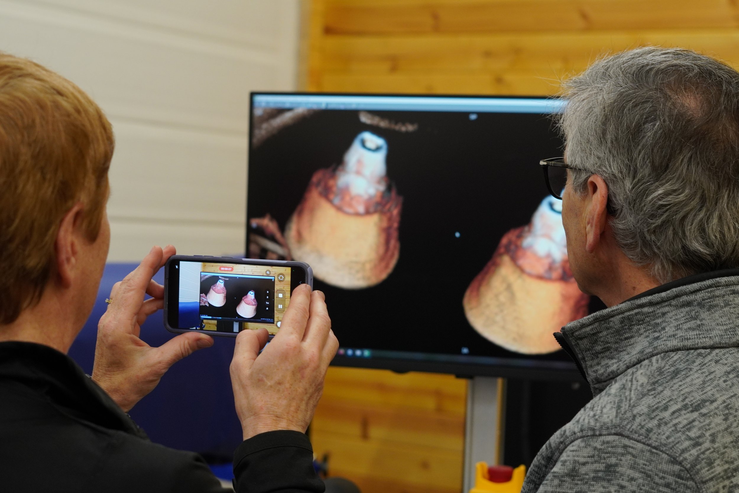 IMV Imaging and Asto CT Forge Strategic Partnership to Advance Veterinary Diagnostic Imaging