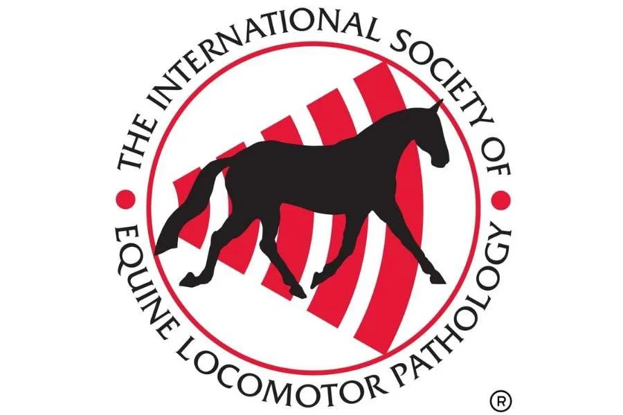 The Proximal Forelimb &amp; Neck Connection - Lexington, KY