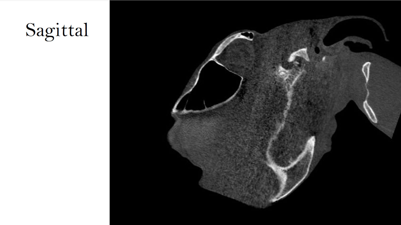 Screenshot 2026-03-09 142920.png