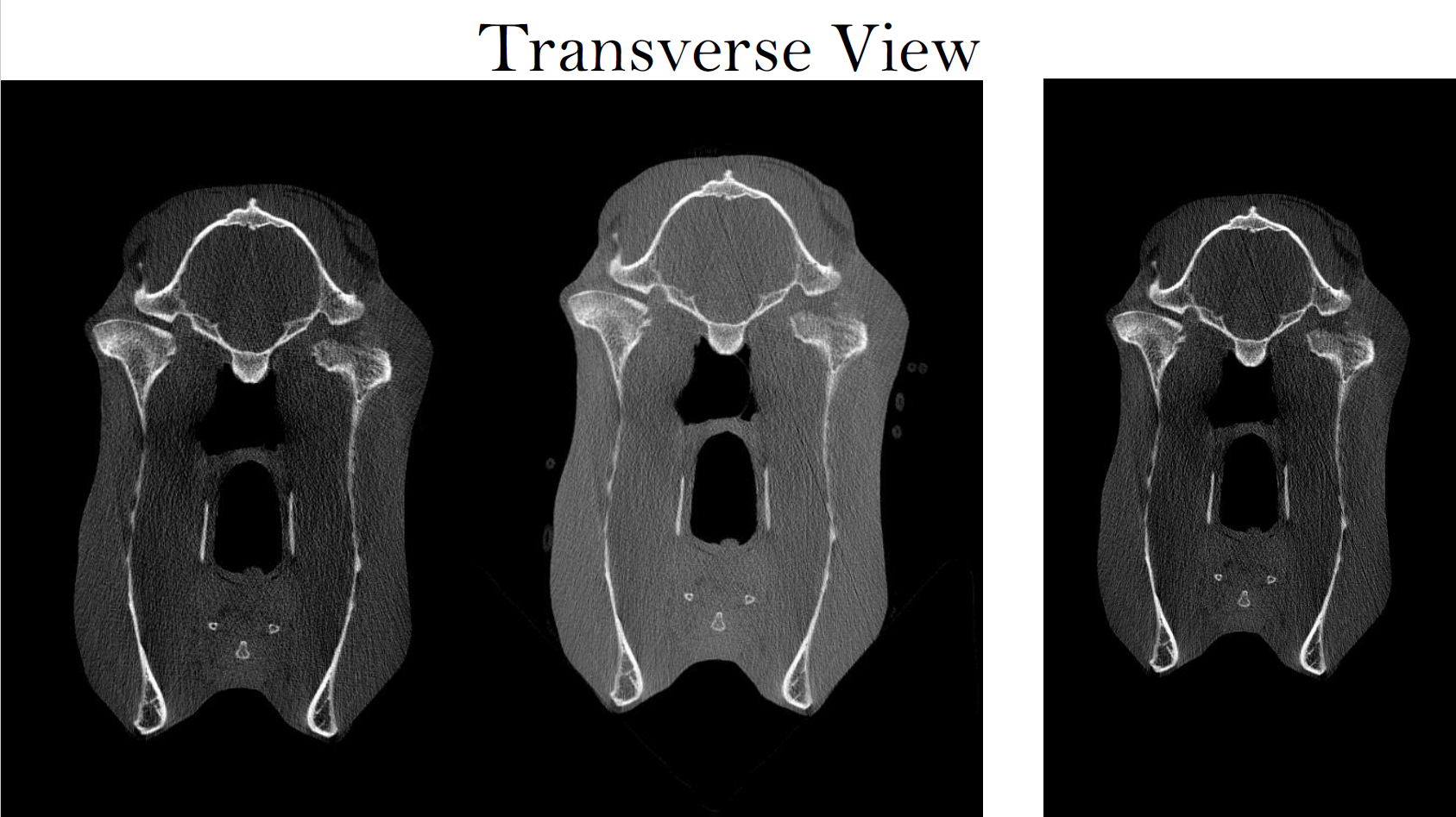 Screenshot 2026-03-09 142835.png