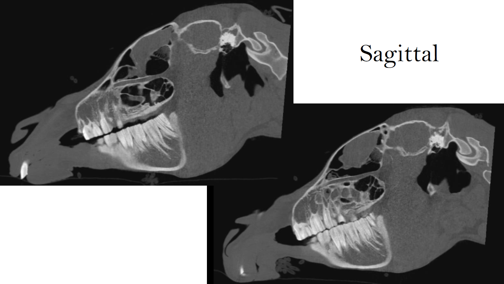 Screenshot 2026-03-09 143223.png