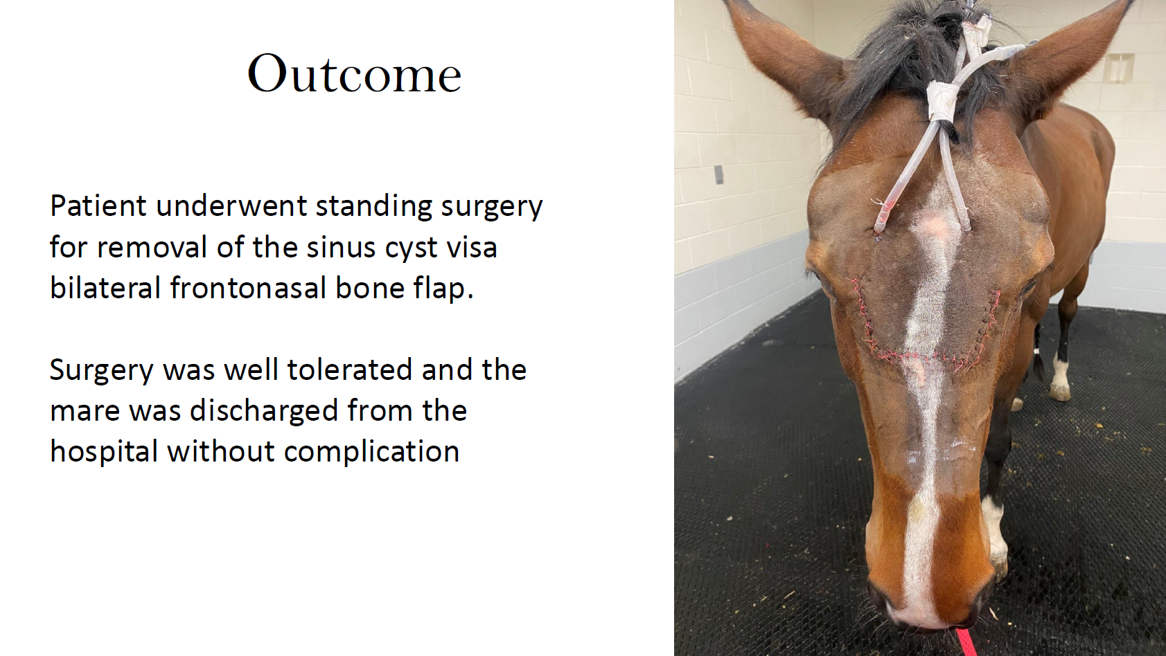 Screenshot 2026-03-09 143253.png