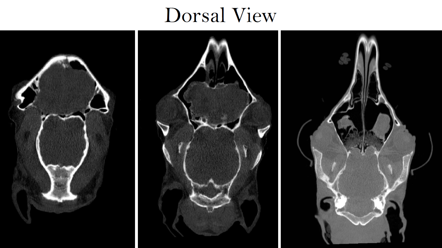 Screenshot 2026-03-09 143200.png