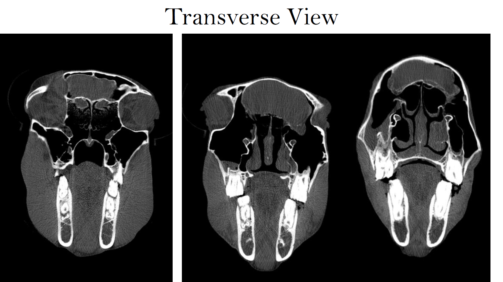 Screenshot 2026-03-09 143140.png