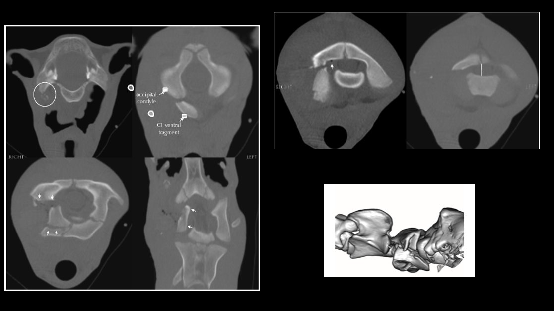 Screenshot 2026-03-09 143833.png