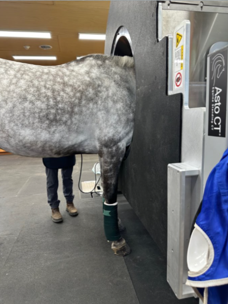 Screenshot 2026-03-09 144721.png