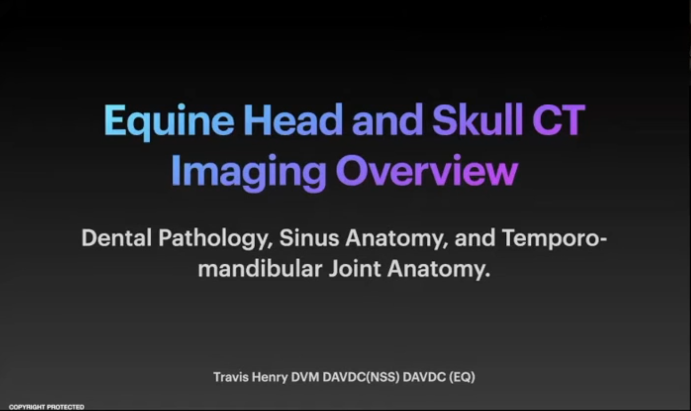 Equine Head and Skull CT Imaging Overview