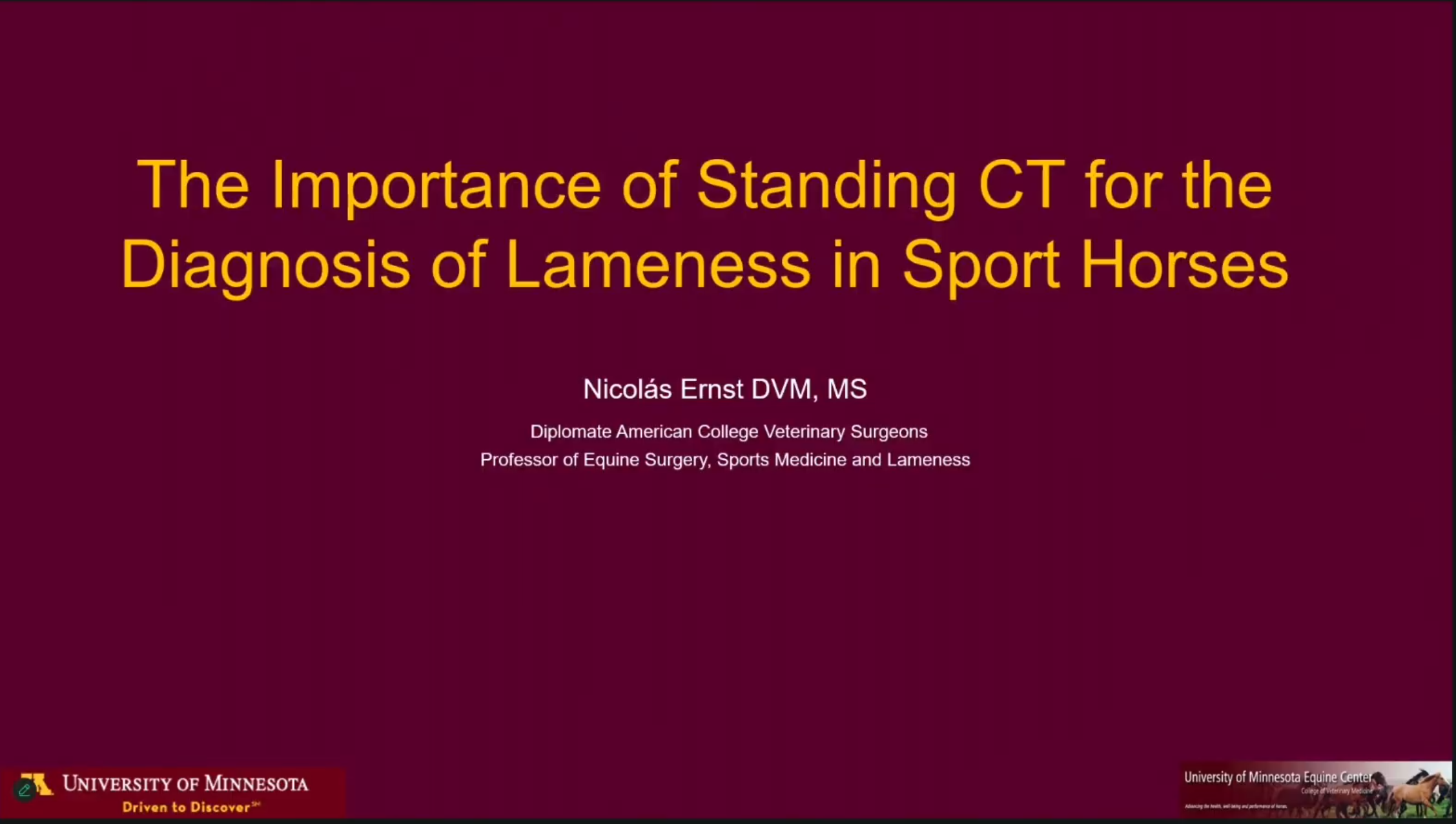 The Importance of Standing CT for Diagnosis of Lameness in Sport Horses