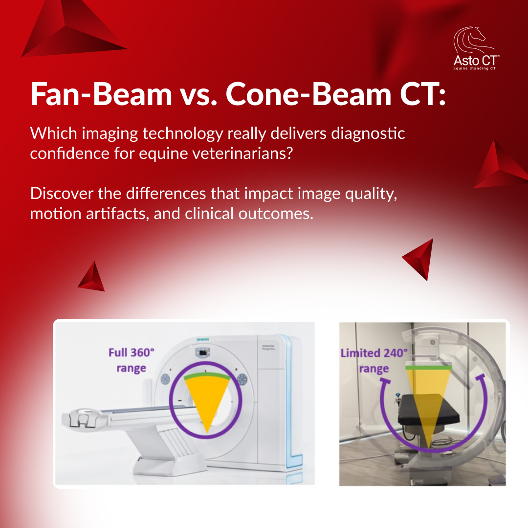 INFOGRAPHIC:  Fan-Beam vs. Cone-Beam CT in Equine Medicine: What Veterinarians Need to Know