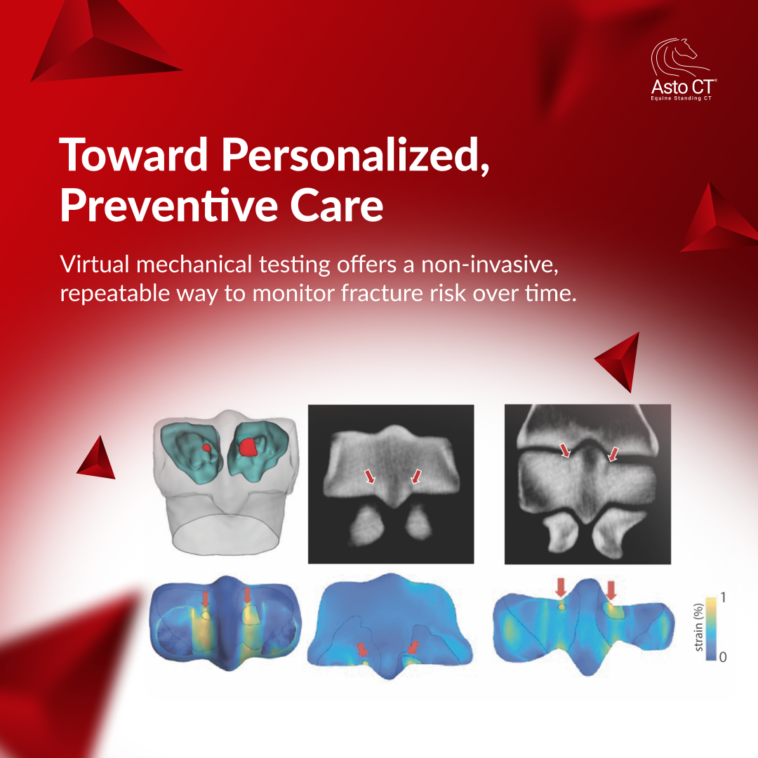 Slide 6 — Key Finding 5.png