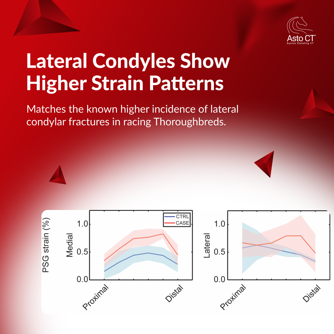 Slide 5 — Key Finding 4.png