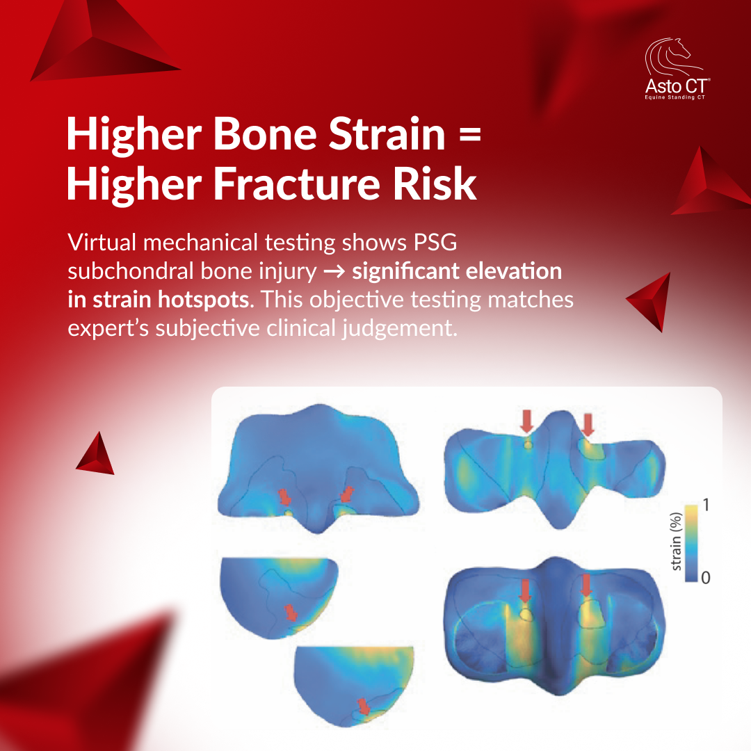 Slide 4 — Key Finding 2.png