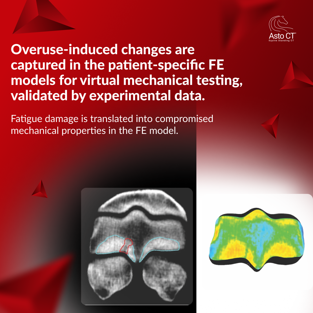 Slide 3 — Key Finding 3.png