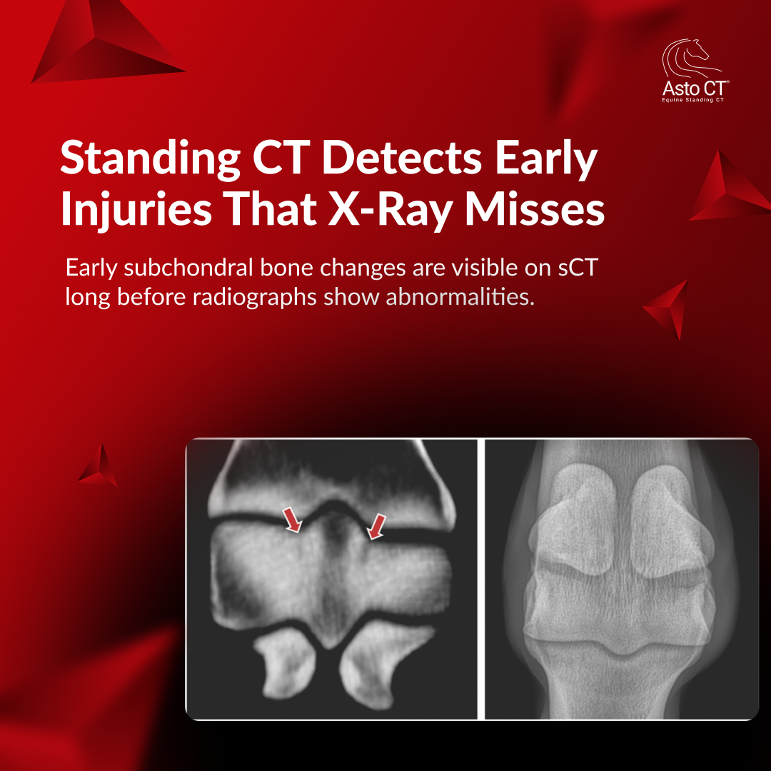 Slide 2 — Key Finding 1.png