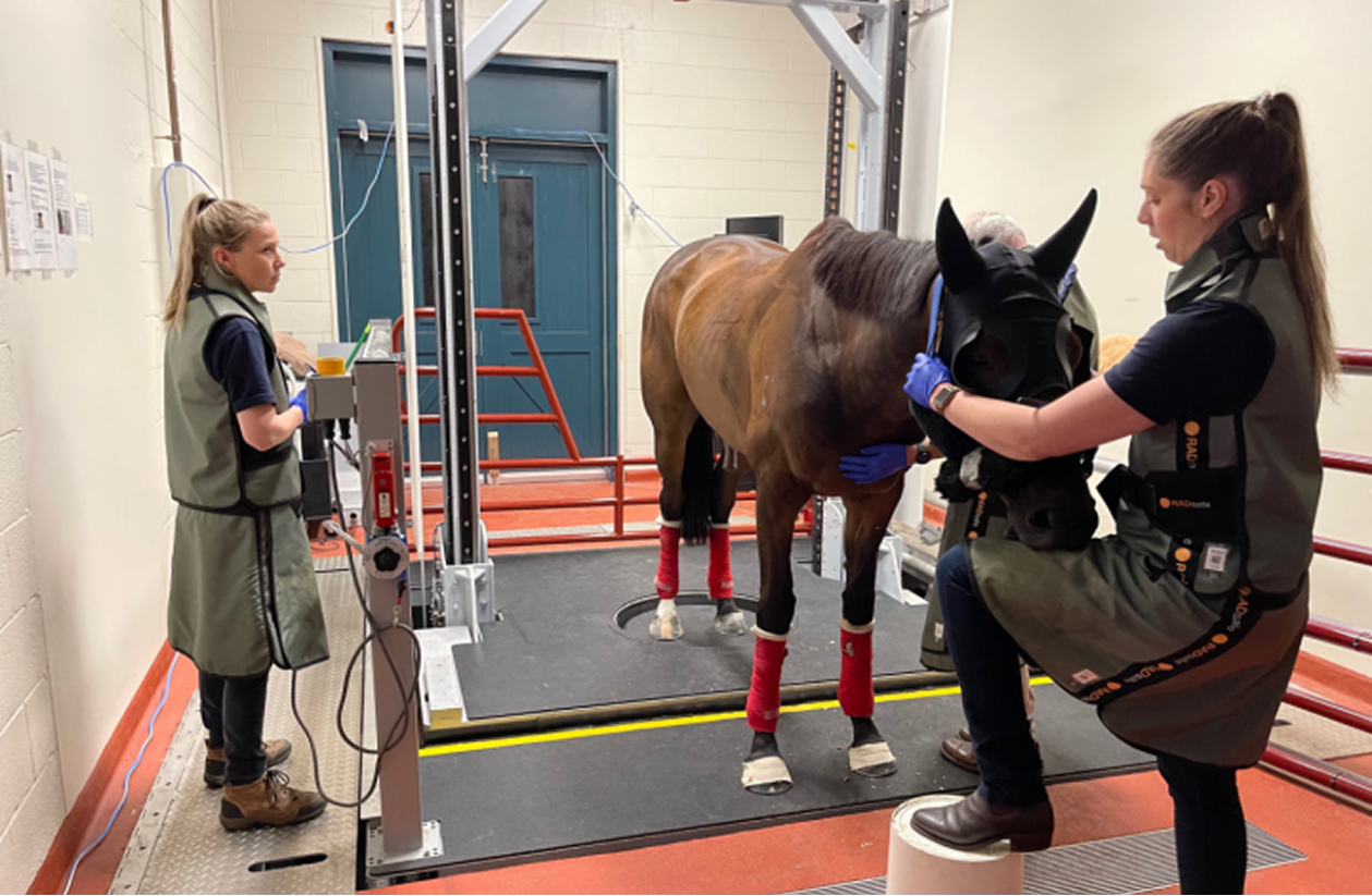 Melbourne Cup Safety Leadership Continues: Five Years of Standing CT Screening, Zero Fatalities