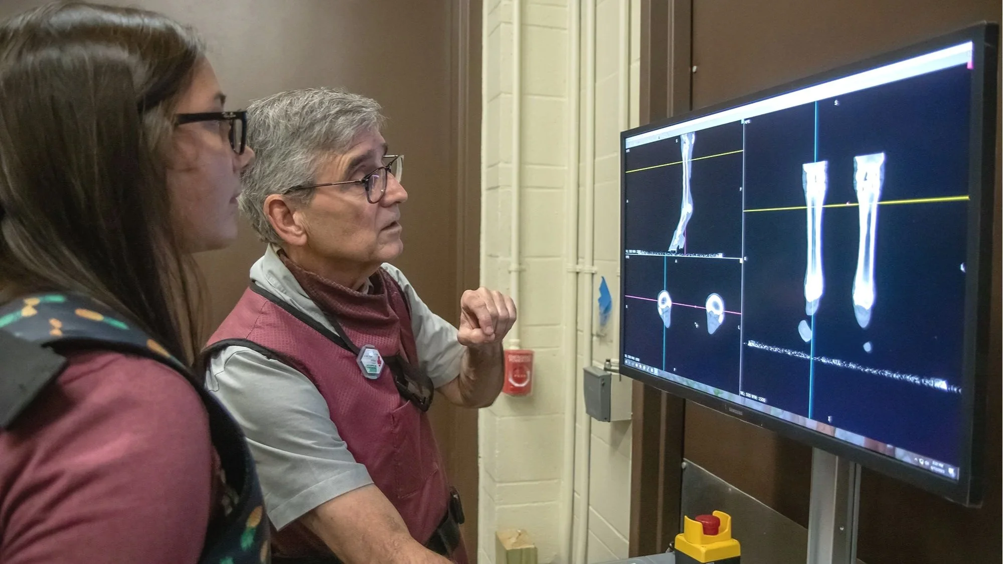 What Standing CT Is Teaching Us About Equine Diagnosis