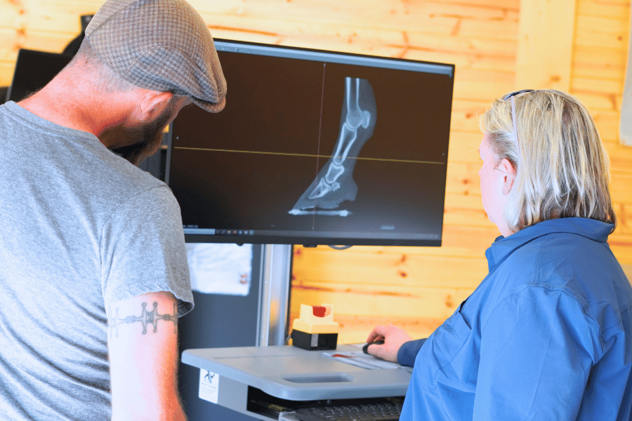 What Standing CT Is Teaching Us About Equine Diagnosis