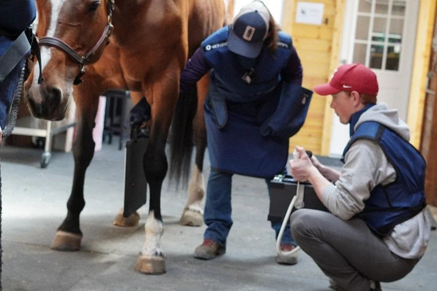 IMV Imaging and Asto CT Forge Strategic Partnership to Advance Veterinary Diagnostic Imaging