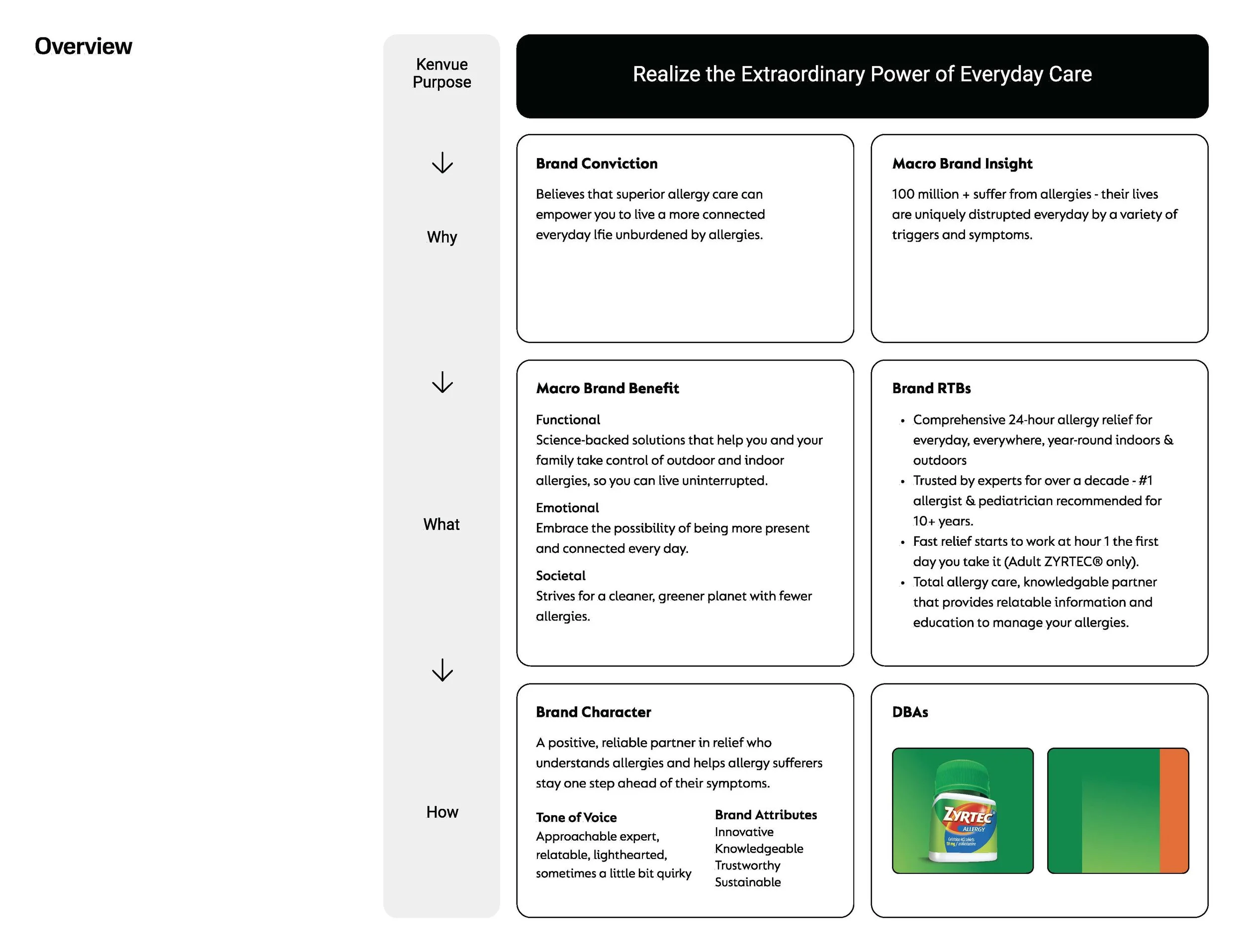 Zyrtec Brand Foundations_ForPortfolio_Page_03.jpg